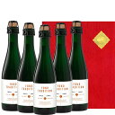 当日出荷 ベルギー 伝統 ビール ギフト キャスティール グーズ・フォン・トラディション 375ml 5本 セット プレゼント パーティー お酒 クラフトビール...