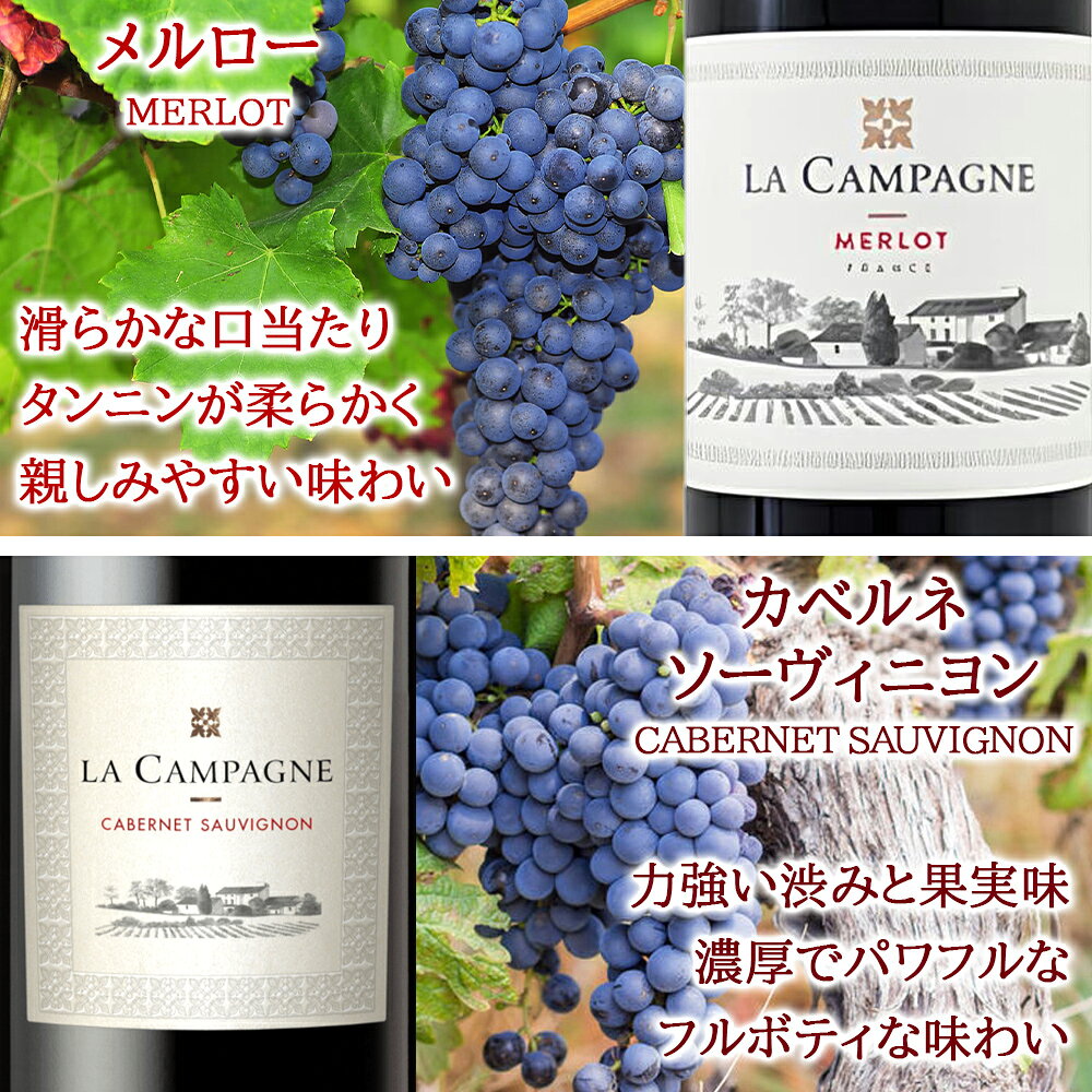 パーティ 送料無料 フランス イタリア ワインセット 6本 赤ワイン 2本 白ワイン 2本 スパークリング 2本 750ml 6本 赤白 ワイン スパークリングワイン 飲み比べ 辛口 赤 白 泡 フルボディ お酒 誕生日 家飲み 女子会 友人 女性 男性 origin-gourmet-10001147 ワイン&ギフト オリジン・グルメ サンプル画像2
