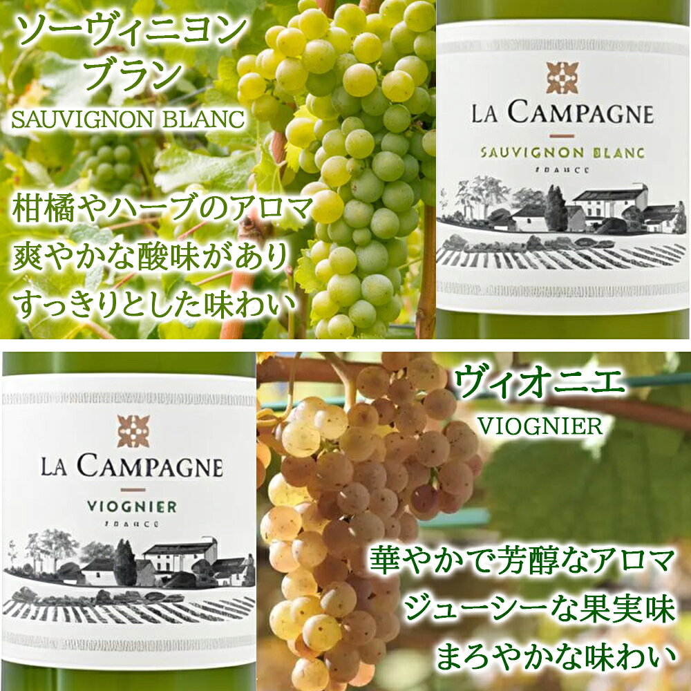 パーティ 送料無料 フランス イタリア ワインセット 6本 赤ワイン 2本 白ワイン 2本 スパークリング 2本 750ml 6本 赤白 ワイン スパークリングワイン 飲み比べ 辛口 赤 白 泡 フルボディ お酒 誕生日 家飲み 女子会 友人 女性 男性 origin-gourmet-10001147 ワイン&ギフト オリジン・グルメ サンプル画像3