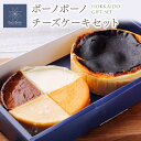 札幌 ボーノボーノチーズケーキセ...