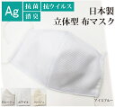 抗菌マスク Ag 銀イオン 抗ウイルス 日本製マスク フィルターポケット 立体型 ゴムひも調節 布マスク ガーゼ 洗える 消臭