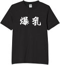 爆乳 巨乳 貧乳 乳 胸 tシャツ おもしろtシャツ 面白いtシャツ おもしろ メンズ プレゼント 服 パロディ 文字ネタ 自虐