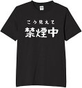 こう見えて禁煙中 tシャツ おもしろtシャツ 面白いtシャツ おもしろ メンズ プレゼント 服 パロディ 文字ネタ 自虐