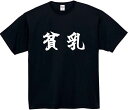 貧乳 tシャツ おもしろtシャツ 面白いtシャツ おもしろ メンズ プレゼント 服 パロディ 文字ネタ 自虐