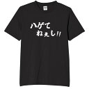 はげてねぇし tシャツ おもしろtシャツ 面白いtシャツ おもしろ メンズ プレゼント 服 パロディ 文字ネタ 自虐
