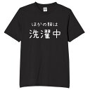 ほかの服は洗濯中 tシャツ おもしろtシャツ 面白いtシャツ おもしろ メンズ プレゼント 服 パロディ 文字ネタ 自虐