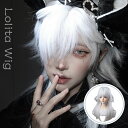 ウィッグ フルウィッグ かつら ストレート 姫カット ひめカット クラゲヘア セミロング ロングヘアー レディース ファッション ロリータ 自然 小顔 原宿 ふわふわ 女装 小顔 人気 耐熱 wig ネット (ホワイト)