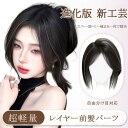 前髪ウィッグ 人毛 ヘアピース センター分け 部分ウィッグ つけ毛 ふんわり 空気感 ポイントウィッグ ブラック 普段使い かつら 自然 軽量 薄い 通気性 成人式 卒業式 和装 レディース