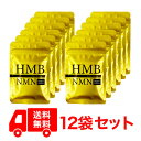 12袋セット ボディマスター BODYMASTER HMB NMN 国内生産 送料無料 サプリメント ヒロミ 30粒