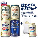 はじめての オリオンビール セット クラフトビール 飲み比べ 選べる グラス 5缶 5本 ビール 送料無料 お試し オリオン orion 詰め合わせ アソート 定番 ご当地 沖縄 ご当地ビール やんばる ドラフト プレミアム 75BEER CRAFT LAGER IPA