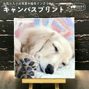 キャンバスプリント オーダーメイド オリジナル 写真 プリント 名入れ 敬老の日 七五三 クリスマス プレゼント 文字入れ無料 フォトパネル アートパネル アー...