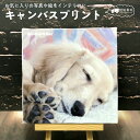 キャンバスプリント 写真入り プレゼント オーダーメイド オリジナル 卒園 記念品 先生へ 卒業 先生にプレゼント 名入れ かわいい プレゼント ペット アートパネル アートフレーム キャンバス アート パネル 絵画 壁掛け 壁 飾る インテリア 記念写真 子供の絵 プレゼント