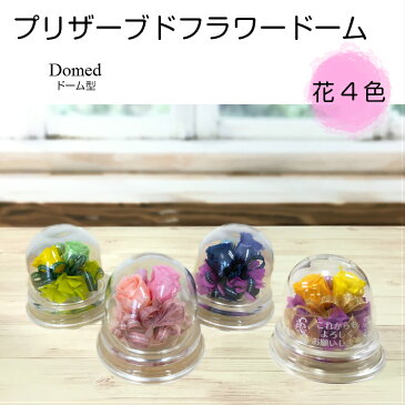 プリザーブドフラワー ドーム 名入れ 花 プリザーブドフラワー プレゼント 記念品 メッセージ ドーム ギフト 結婚式 定年退職 敬老の日 還暦 卒業 インテリア インスタ 内祝い 名入れ 小物 オリジナル ラッキーシール対応