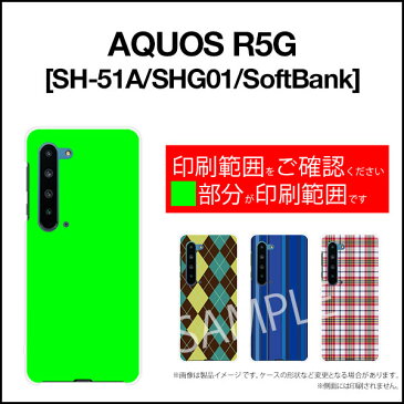 AQUOS R5G [SH-51A/SHG01/SoftBank]アクオス アールファイブジーdocomo au SoftBankオリジナル デザインスマホ カバー ケース ハード TPU ソフト ケースピアノと猫