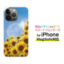 MagSafe対応 スマホケースiPhone 14 14Plus 14Pro 14ProMax 13 13Pro 13miniマグセーフ対応 オリジナルデザイン ケース カバー向日葵と青空