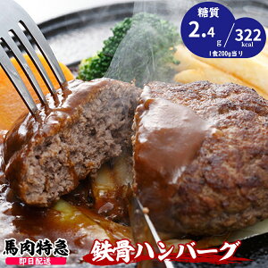 【あす楽対応】送料無料 鉄分豊富 「鉄骨ハンバーグ計1kgセット 200g×5P （約5人前）/低カロリー/糖質制限ダイエット/ケトン体ダイエット/