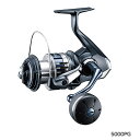 シマノ (SHIMANO) 20 ストラディック SW 