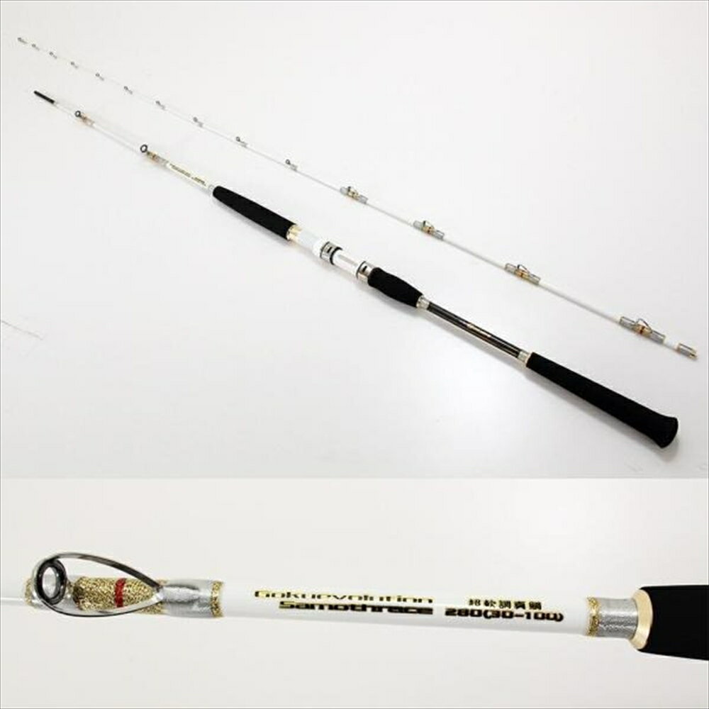 【アウトレット】超軟調ムーチング真鯛 GokuEvolution サモトラケ250(30-100号)(out-in-250020-2)