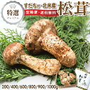 【早割 予約】特選 北米産 松茸|200g|400g|600g|800g|900g|1kg|天然 アメリカ産・カナダ産 まつたけ 家庭用 贈答 ギフト 人気 お...