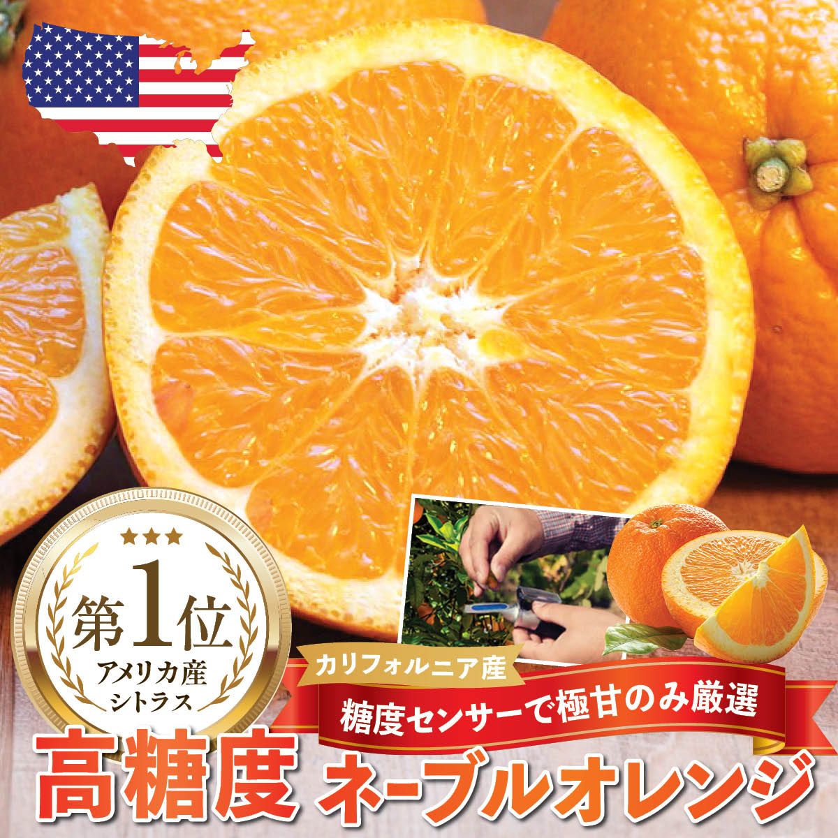 【驚愕の甘さ!】カリフォルニア産 高糖度ネーブルオレンジ｜糖度センサーで極甘のみを厳選してお届け! ｜ジューシーで甘い｜大玉柑橘 送料無料｜大きい ネーブルオレンジ｜ 柑橘 フルーツ ギフト｜贈答用 ｜期間限定｜Extra Sweet California Navel Oranges Citrus L size