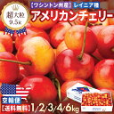 【早割 予約】超大粒 レイニアチェリー 9.5R 鮮やかな果肉と上品な甘さが人気! アメリカンチェリー 1kg 2kg 3kg 4kg 6kg ワシントン州産 ...