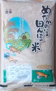 30年産　茨城県産　久慈川清流米こしひかり　10kg