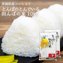 とんぼ米 コシヒカリ こしひかり 送料無料　令和4年産茨城県北産　特選米　 5kg×2袋 ( 10kg ) お米 精米