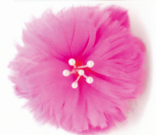 �ե����������ʥ���