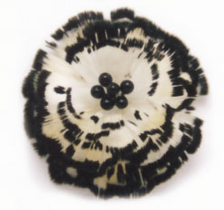 �ե����������ʥ���