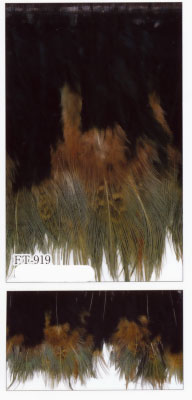 フェザー　フリンジ