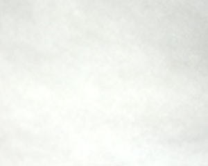 特厚ドミット芯(厚さ約5〜6mm) 特厚ドミット芯(厚さ約5〜6mm)