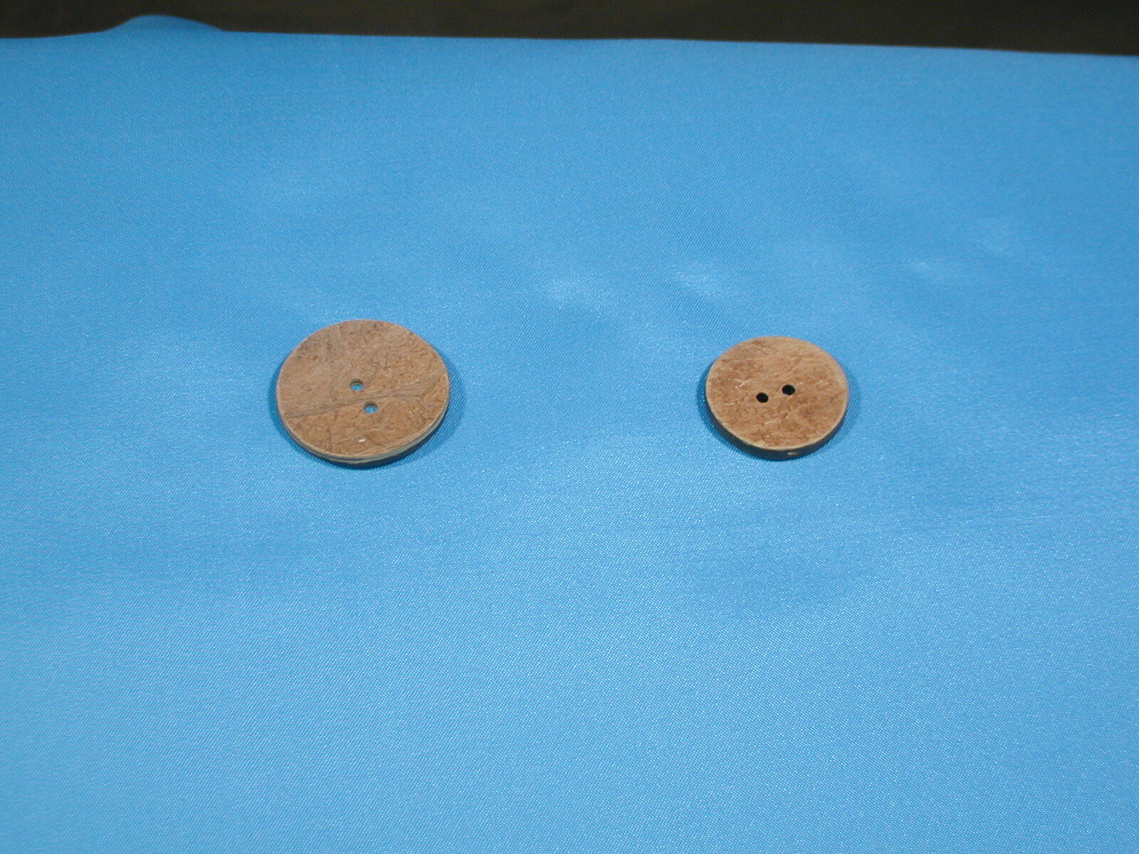 ココナッツボタン11.5mm