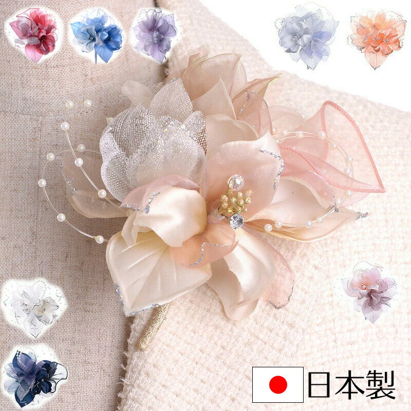 奵ƥѡ291ؼ༰´ȼ´༰ڤбۡڥӥ塼̵ۡRCP02P13Dec14