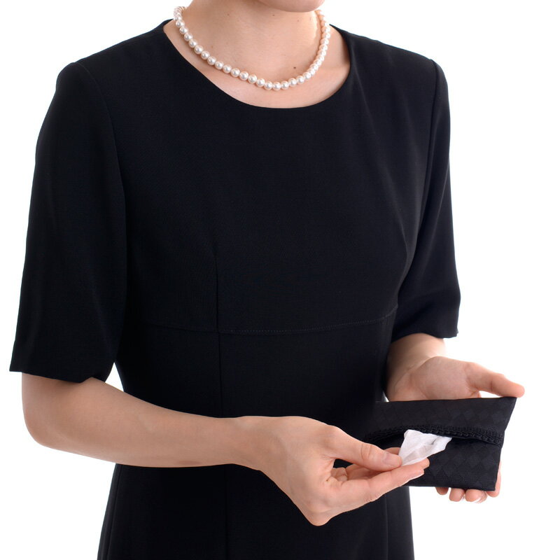 �ݥ��åȥƥ��å��奱�����ʥ��������� ���ӥƥ��å��奫�С� ������פ�ع��ط� ���ե���������� ������