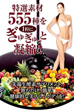 【送料無料】正規品 酵素女神 生酵素555 美容 健康 ダイエット ビタミン サプリメント 植物発酵エキス サプリ ダイエット 酵素 ダイエット 生酵素サプリメント 菌活サプリ コエンザイムQ10、乳酸菌、高麗人参、冬虫夏草
