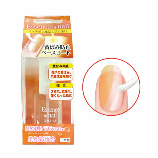 美容ネイル 黄ばみ防止ベースコート 10ml BTN582 日本製 ネイル ケア 爪 自爪 キレイ 美容成分配合 黄ばみ 色素沈色 防止 ベースコート 発色 マニキュア ポリッシュ 2枚爪 乾燥爪 薄い 縦スジ ビューティーワールド ラッキートレンディ 女の子 女子 男子 大人 初心者 簡単