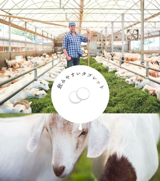 ������ �ץ��ƥ��� �䤮�ߥ륯�ץ��ƥ��� GOATSILK �� ����̵ź�� 100��䤮�ߥ륯�ץ��ƥ��� ���֥�åȷ� ���ӥ饯�饯 �ۼ��� ���ƥ��ݡ��Ȥˤ��Ŭ �䥮�ߥ륯�ץ��ƥ��� ���ʼ� ������������ �ӥ��ߥ� �ߥͥ�� ˭�� �⤿��Ѥ��� ���ʼ� ������ ���� �������å�