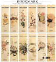 即日出荷 しおり 栞 30枚セット 花 英文字 フラワー 鳥 蝶 植物 図鑑 水彩絵 ブックマーク アンティーク 紙製 おしゃれ 30枚のパターンが全て異なる ...