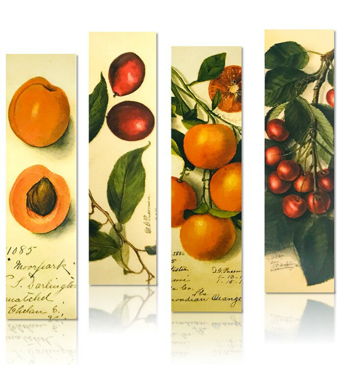 即日出荷 しおり 栞 30枚セット 可愛い 綺麗 高品質 果物 旬果 バナナ りんご ブックマーク 紙製 おしゃれ 30枚のパターンが全て異なる しおりセット ...