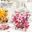 即日出荷 クリアシール 華やか 大きめ 紅梅 薔薇 ローズ 梅の花 桜 梅花 バラ さくら すみれ 牡丹 コラージュ素材 おしゃれ 花柄 花びら 立体感 ラージ...