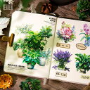 即日出荷 観葉植物 クリアシール コラージュ素材 シール 動物柄 縁起 良い 観葉 植物柄 多肉植物 観賞植物 鉢植え イラスト シール 30枚15柄 コラージ...