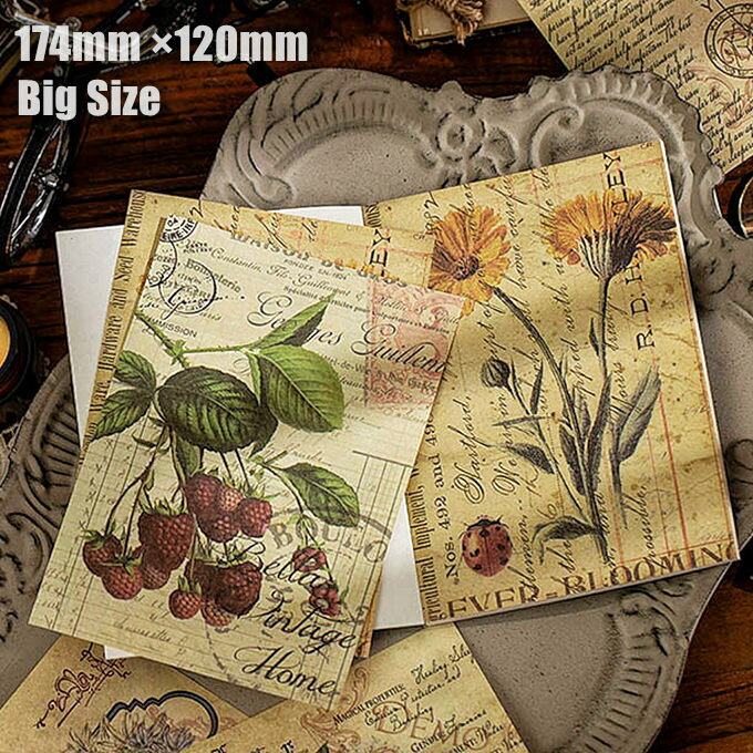 即日出荷 素材紙ブック 大きめ 製本 174×120mm 海外デザインペーパー ヴィンテージペーパー コラージュ素材ペーパー 素材紙 背景紙 レトロ アンティーク デコレーション 海外 紙もの 英字 英語 文字 素材 花柄 フラワー 植物 手紙 楽譜 惑星 白黒 モノトーン 素材ペーパー