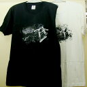 【メンズTシャツ】★ワールド　Tシャツ＜限定商品＞ VANS OFF THE WALL