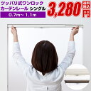 カーテンレール シングル 伸縮式 ランナー フルネス【ツッパリ式ワンロックカーテンレール フィットワン 0.7m〜1.1m】アイアン ブラインド カーテン レー...