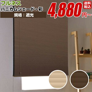 プレーンシェード ローマンシェード ハニカムシェード 【フルネス 彩 シングル 遮光タイプ 規格サイズ 180cm×180cm】窓用 遮光 羽 (遮光 防炎 遮熱 洗える UV 無地 シングル 国産 日本製 高級)