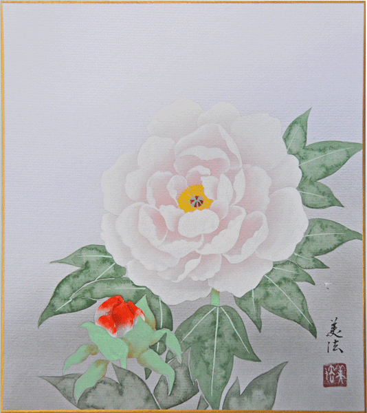 肉筆色紙　牡丹　田中美法【当日出荷可能】