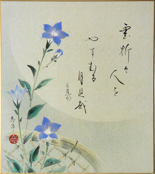 乐天商城 - 肉筆色紙　桔梗　木村亮平【当日出荷可能】