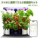 限定クーポン 水耕栽培 キット LED 水耕栽培キット 野菜栽培キット おしゃれ アプリ プランター スポンジ タイマー 循環式ポンプ 誘引フック 室内 静か ...
