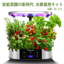 水耕栽培キット 水耕栽培 LED 野菜栽培キット セット誘引フック 室内 静か 家庭菜園 植木鉢 プランター おしゃれ LEDライト付 観葉植物 スポンジ タイ...