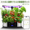限定クーポン 水耕栽培 キット LED スマートフォン連携 IoT型 アプリ おしゃれ 野菜栽培キット プランター スポンジ タイマー/自動施肥/給水機能 循環...